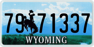 WY license plate 7971337