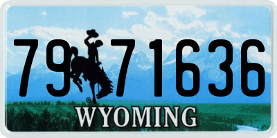 WY license plate 7971636