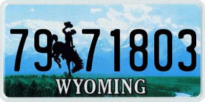 WY license plate 7971803