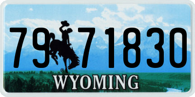 WY license plate 7971830