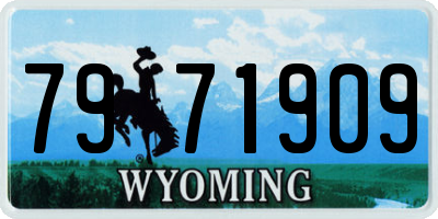WY license plate 7971909