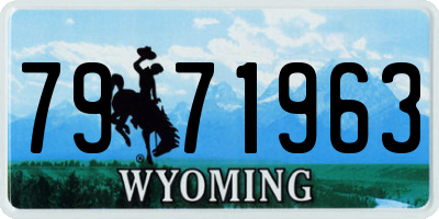 WY license plate 7971963
