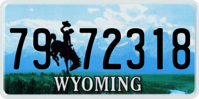 WY license plate 7972318