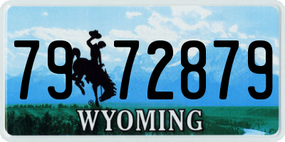WY license plate 7972879