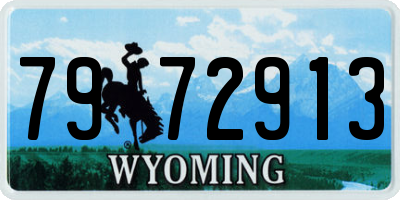 WY license plate 7972913