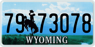 WY license plate 7973078