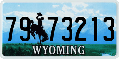 WY license plate 7973213