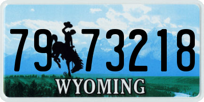 WY license plate 7973218