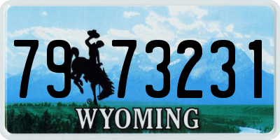 WY license plate 7973231