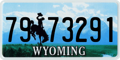 WY license plate 7973291