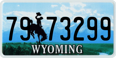 WY license plate 7973299