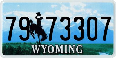 WY license plate 7973307
