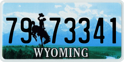 WY license plate 7973341
