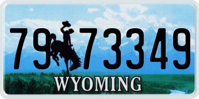 WY license plate 7973349