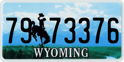 WY license plate 7973376