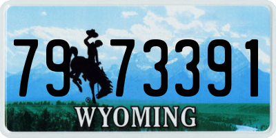 WY license plate 7973391