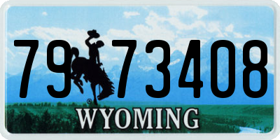 WY license plate 7973408