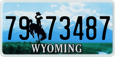 WY license plate 7973487