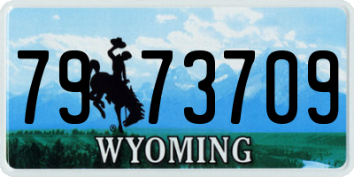 WY license plate 7973709