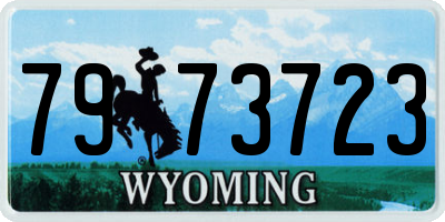 WY license plate 7973723