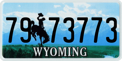 WY license plate 7973773