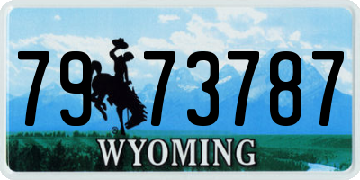WY license plate 7973787