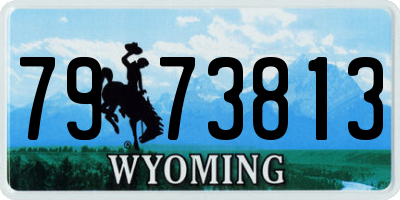 WY license plate 7973813