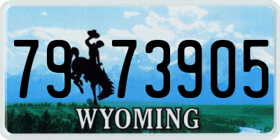 WY license plate 7973905