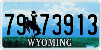 WY license plate 7973913