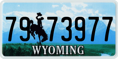 WY license plate 7973977