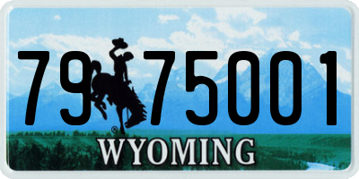 WY license plate 7975001