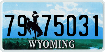 WY license plate 7975031