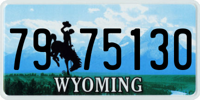 WY license plate 7975130