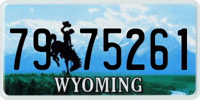 WY license plate 7975261