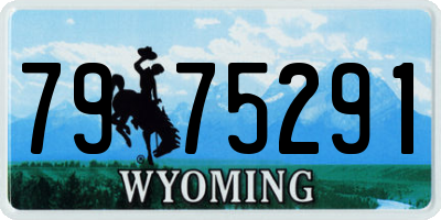 WY license plate 7975291