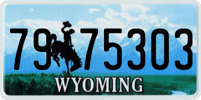 WY license plate 7975303