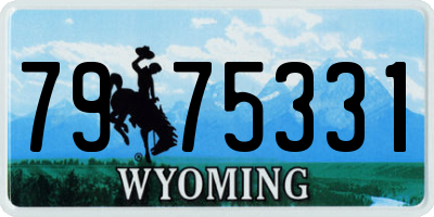 WY license plate 7975331