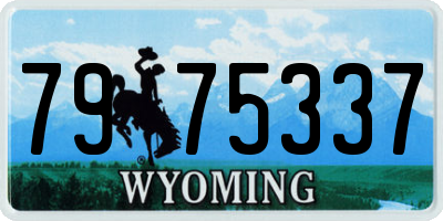 WY license plate 7975337