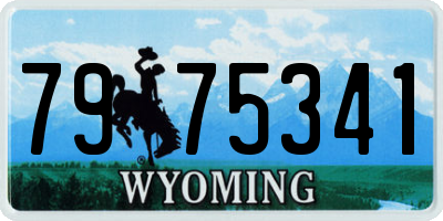 WY license plate 7975341