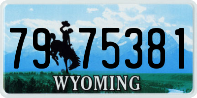 WY license plate 7975381