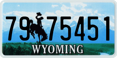 WY license plate 7975451