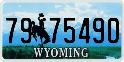 WY license plate 7975490