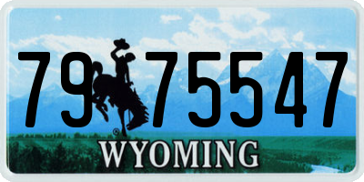WY license plate 7975547