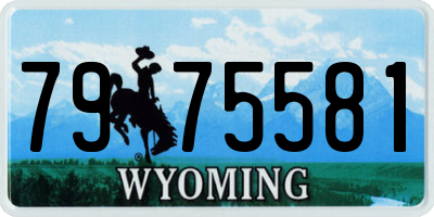 WY license plate 7975581