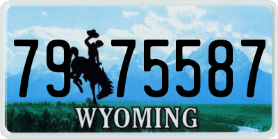 WY license plate 7975587