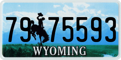 WY license plate 7975593