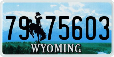 WY license plate 7975603