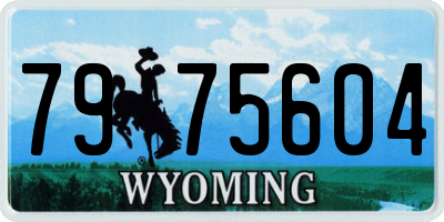 WY license plate 7975604
