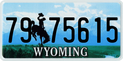 WY license plate 7975615