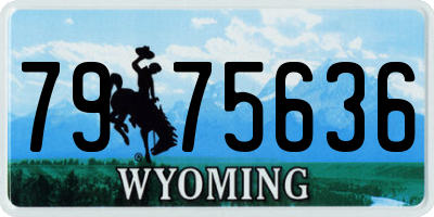 WY license plate 7975636